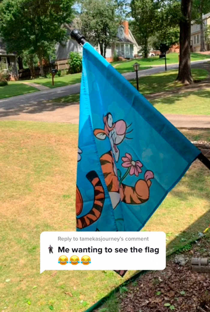 Joyless Karen Is Triggered By A Tigger Flag That Her Neighbor Has, Goes Viral On TikTok