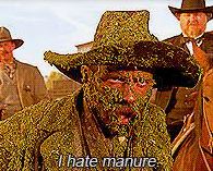 manure-6128cf6077ad3.jpg