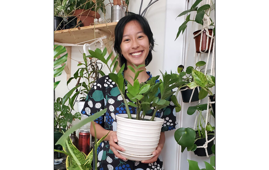 I Make Paper Plants And You Can Too I Make Paper Plants And You Can Too