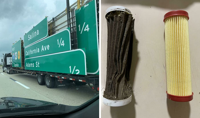 «Bastante interesante»: Este grupo online explora el lado extraño y maravilloso de la vida cotidiana (40 fotos)