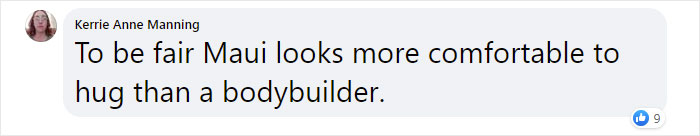 Sick Of People Calling Maui From Moana Obese, Tumblr User Explains What Male Strength Really Looks Like Sick Of People Calling Maui From Moana Obese, Tumblr User Explains What Male Strength Really Looks Like