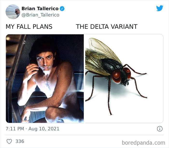 94 Of The Best "My Fall Plans vs. The Delta Variant" Tweets