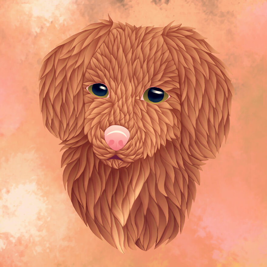 Nova Scotia Duck Tolling Retriever