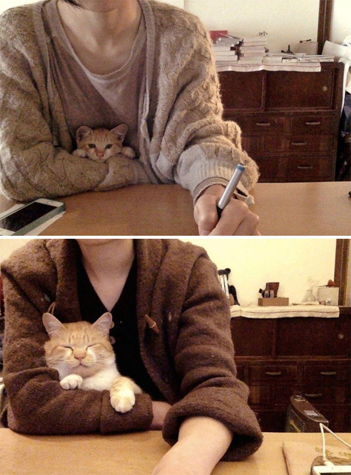 Faithful Little Desk Buddy