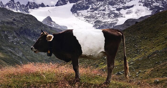 “Our World Is Beautiful”: Here Are The Best Photos From The CEWE Photo Award 2021 (30 Pics)