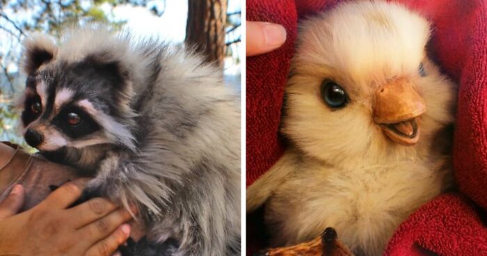 116 Incredibly Cute Animal Sculptures Made By Lee Cross