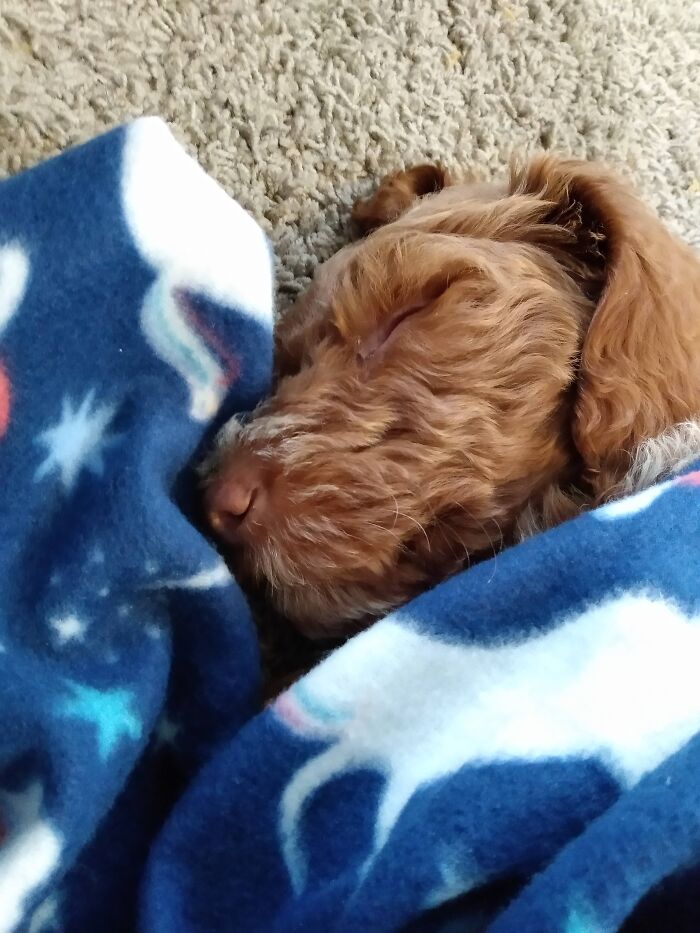 He Likes Sleeping With His Blankie