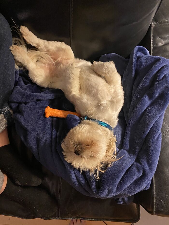 It's Been A Long Day