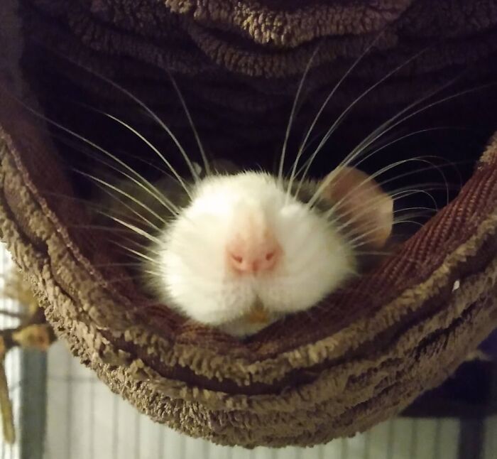 He Was Out Like A Light