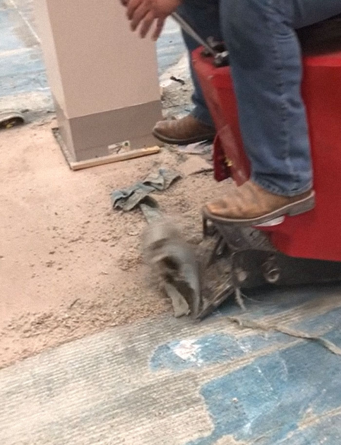 If You’ve Ever Pulled Carpet By Hand, You’ll Appreciate This