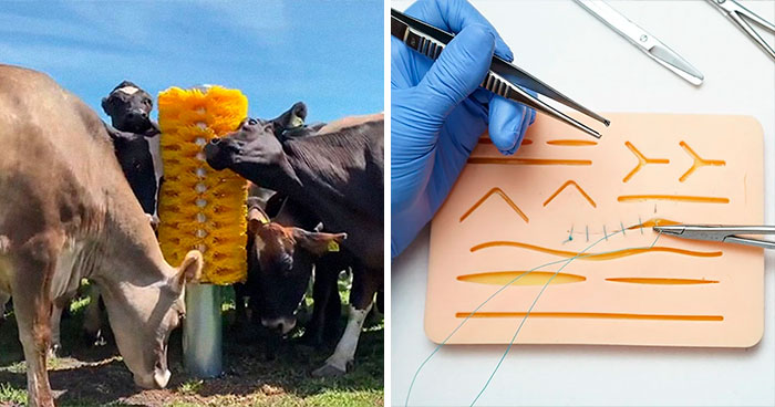 30 Herramientas interesantes que sólo ven las personas de campos muy específicos