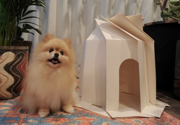Origami-Inspired Pet Houses That Will Give Your Furry Friend A Stylish Abode Created By These Japanese Designers Origami-Inspired Pet Houses That Will Give Your Furry Friend A Stylish Abode Created By These Japanese Designers