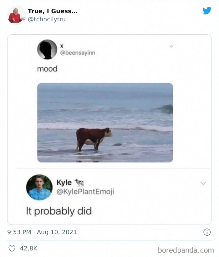 Technically-True-Things