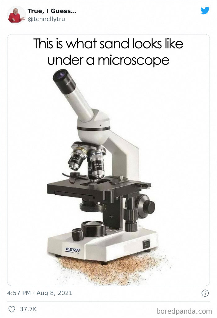 Technically-True-Things