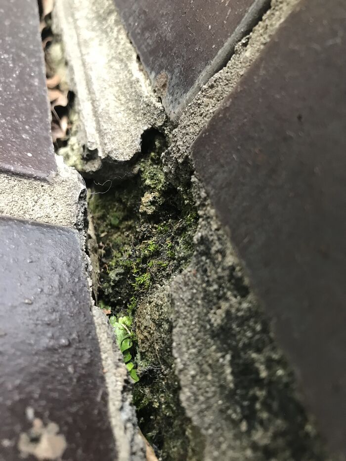 It's Not Amazing But I'm Proud Of It. Macro Of The Stairs Of My Apartment Building