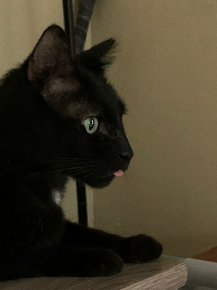 Charles Had Always Been A Master Of Bleeping 💔 He Passed In April