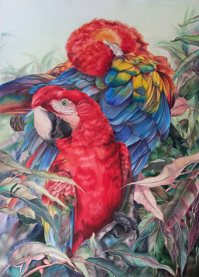 "A Homeless Artist Who Is Always On The Go"