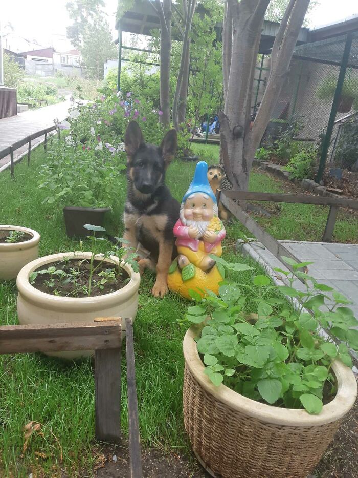 Me And My Best Friend