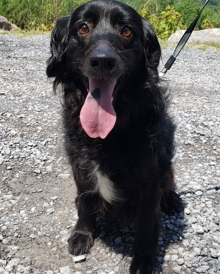 Failed My Quarentine Promise...