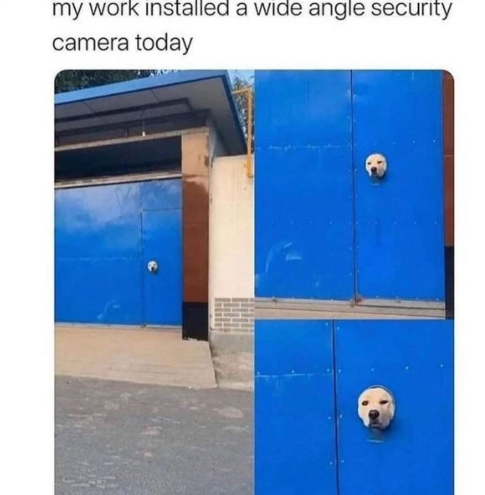 My Work Installed A Wide Angle Security Camera