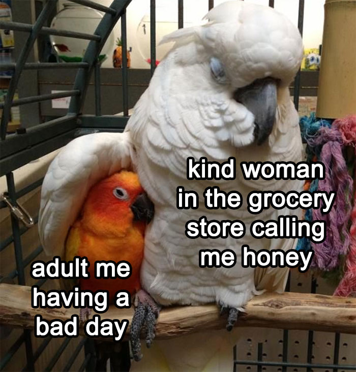 This Twitter Profile Collects Only The Most Respectful Memes, Here Are 50 Of The Best