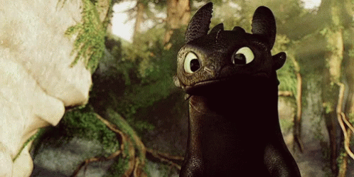 Toothless The Dragon!!! Hes Sooo Cute 🥺