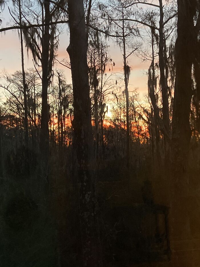Sunset Over The Swamp
