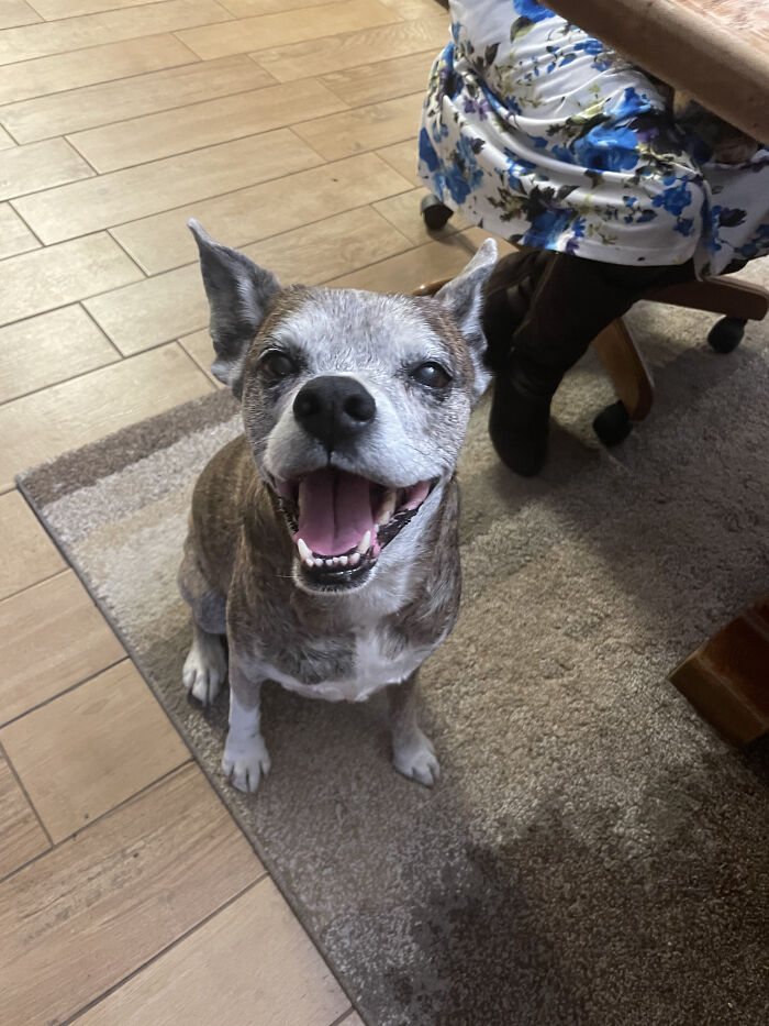 12 Yr Old Jade Aka Jadie Girl Aka Real Slim Jady