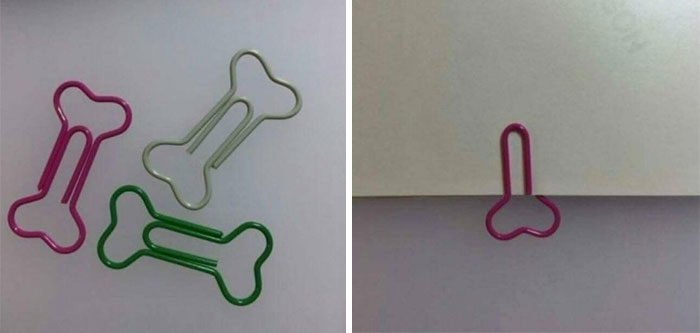 I Thought It Was A Great Idea To Buy 5000 'Bone Shape' Paper Clips For Our Veterinary Clinic