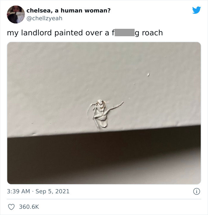 Meme-Of-Roach-Painted-Over-By-Landlord