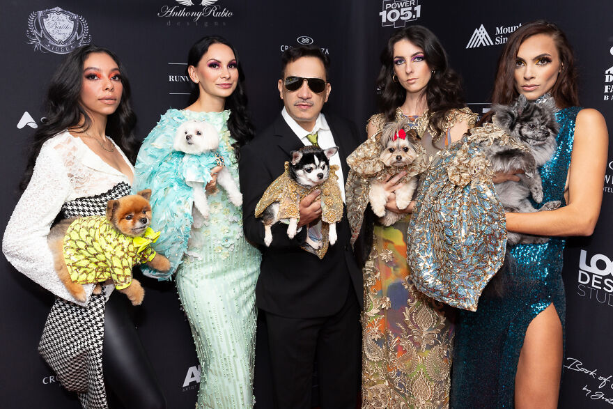 Canines In Haute Couture During New York Fashion Week