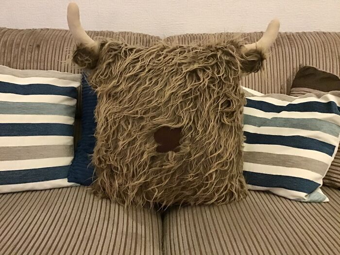 My First Attempt At Making A Hellie Cow Cushion
