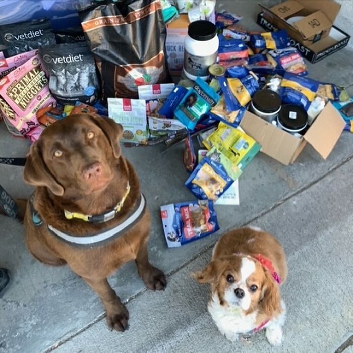 Homeless Man Sheds Tears After Having A Wholesome Reunion With His Missing Labrador Homeless Man Sheds Tears After Having A Wholesome Reunion With His Missing Labrador