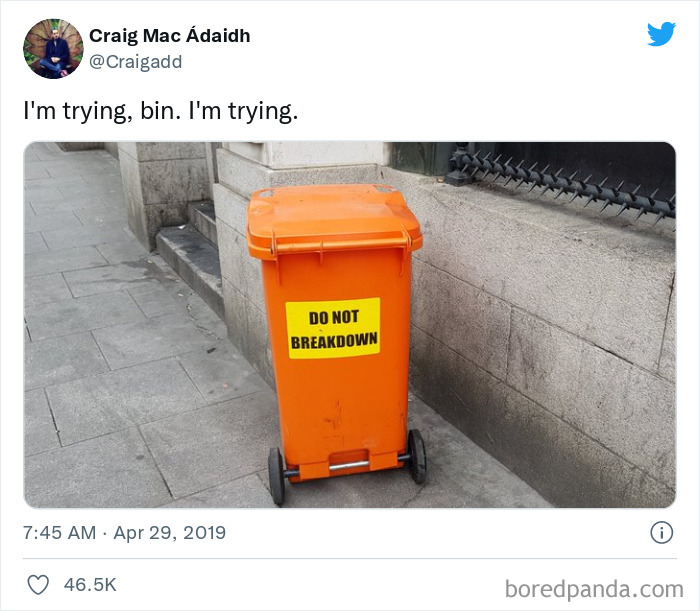 Do not breakdown bin meme