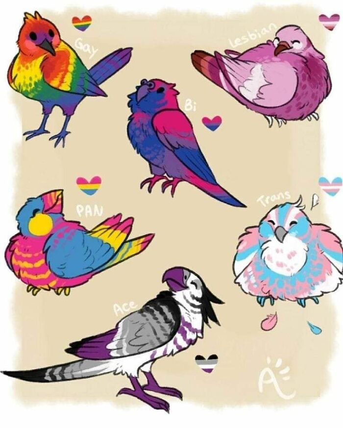 Some Queer Birbs ♡