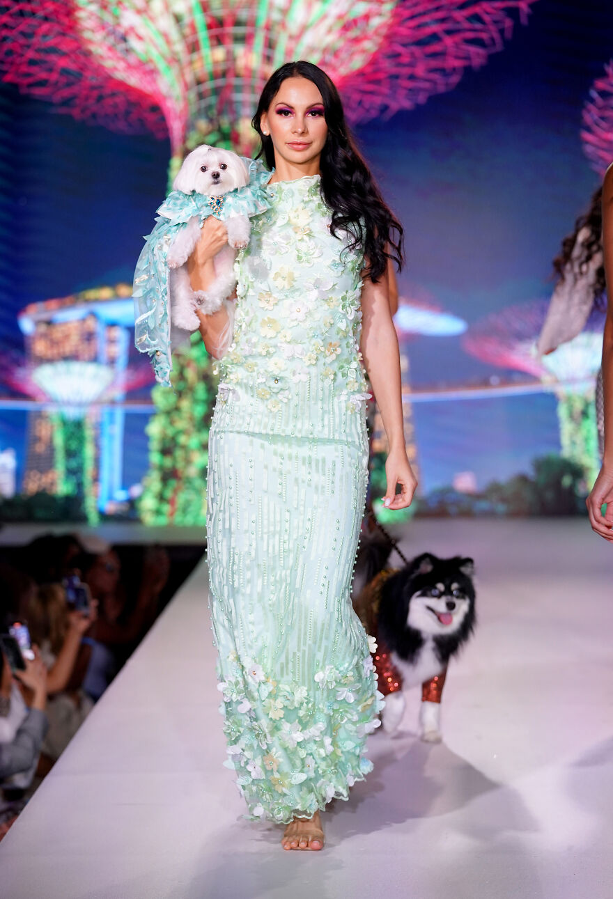 Canines In Haute Couture During New York Fashion Week Canines In Haute Couture During New York Fashion Week