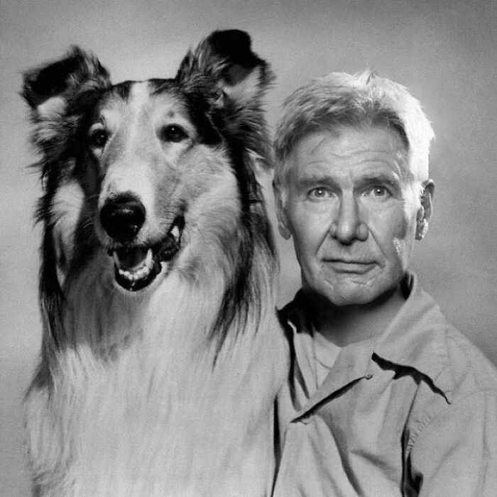 A Hungarian Designer Combines Characters From Different Movies In One Scene, Creating Very Funny Twists (66 New Pics)