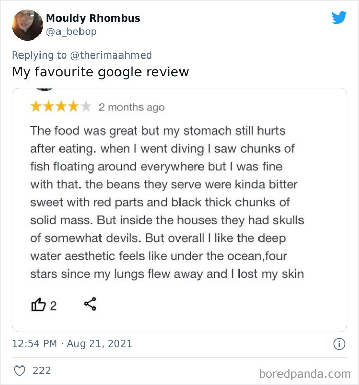 Funny-Dramatic-Google-Reviews