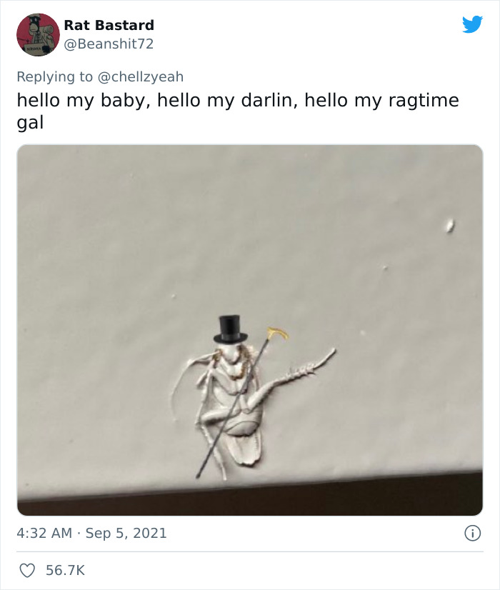 Meme-Of-Roach-Painted-Over-By-Landlord