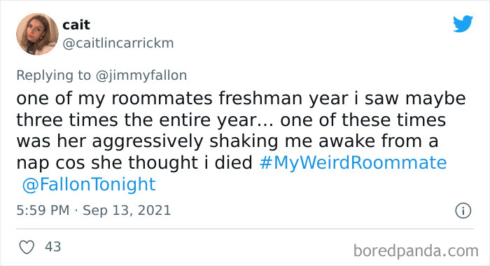 Terrible Roommate Tries to Bully Roommates, Shocked When They Move