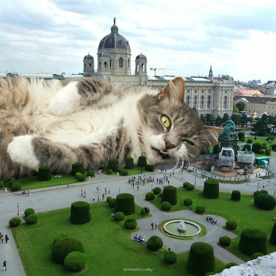 Artist Shows What It Would Be Like If The World Were Inhabited By Giant Cats (92 New Pics)