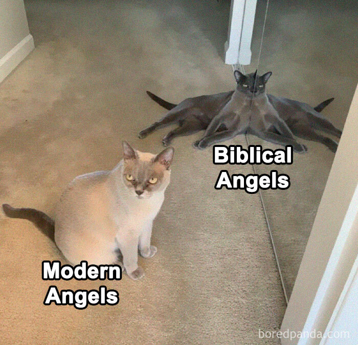 Read The Primary Sources, People!