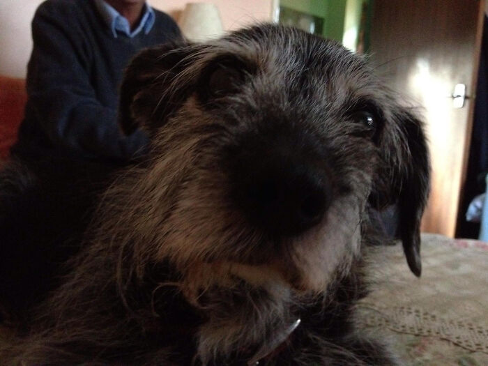 Pretty Peggy-Sue - 17 And A Half Years Young!