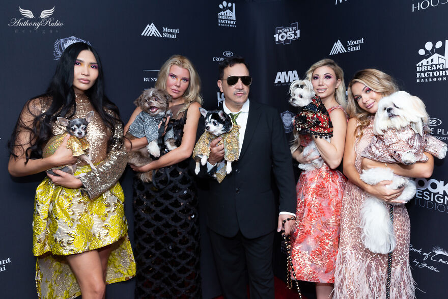 Canines In Haute Couture During New York Fashion Week Canines In Haute Couture During New York Fashion Week