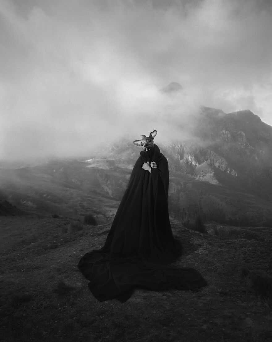 What Makes A Photographer: 8 Visual Artists On Their Path To Becoming A Photographer What Makes A Photographer: 8 Visual Artists On Their Path To Becoming A Photographer