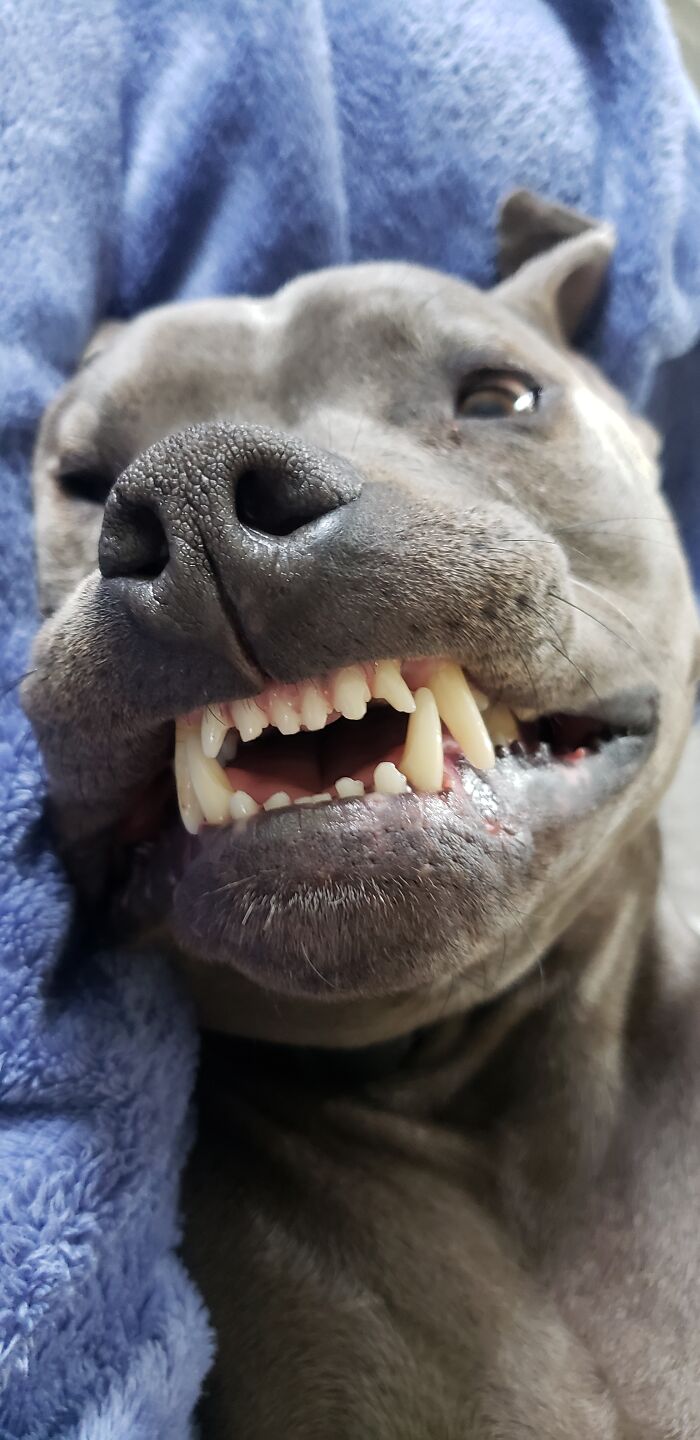 I Stuck His Lips To His Dry Gums. Grrrr!