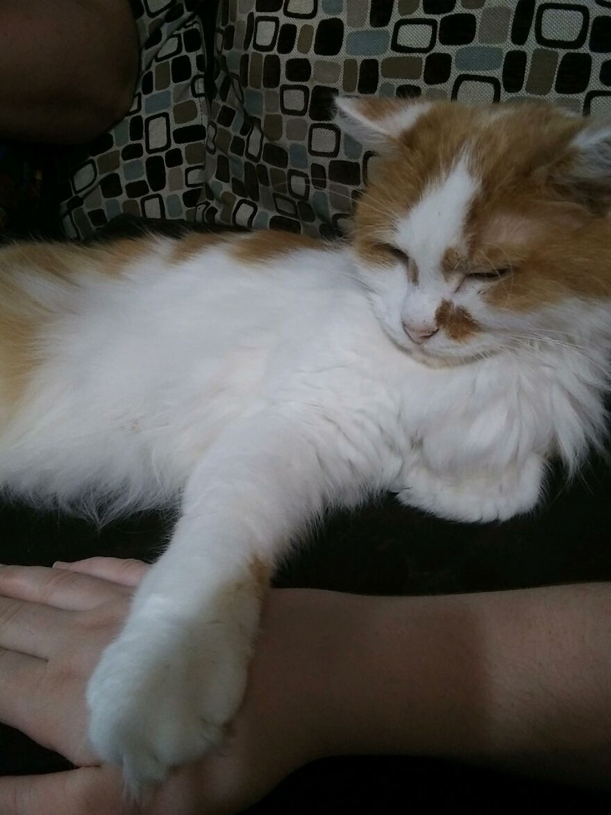 My Beautiful Angel, My Perfect Twin Brother, Holding My Hand.