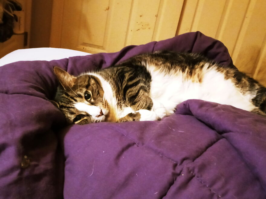 That Look Of Just Pure Love