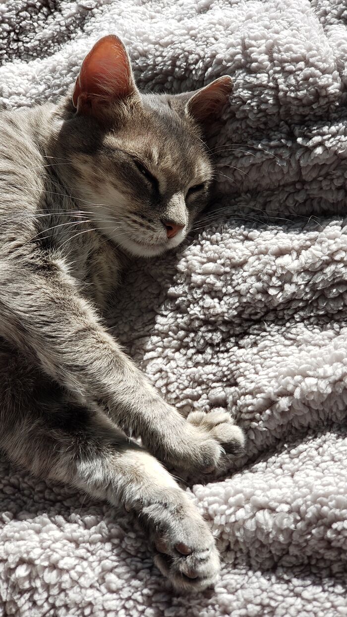 My Sweet Angel Girl. She Is In Heaven Now.