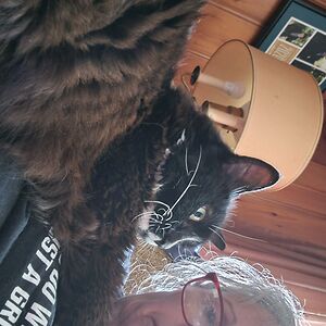 pogmathoin_51 avatar